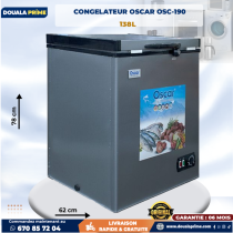 OSCAR Freezer – Large Capacity & Energy Saving | Buy online