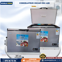 Congélateur vertical & coffre – Meilleurs prix en stock