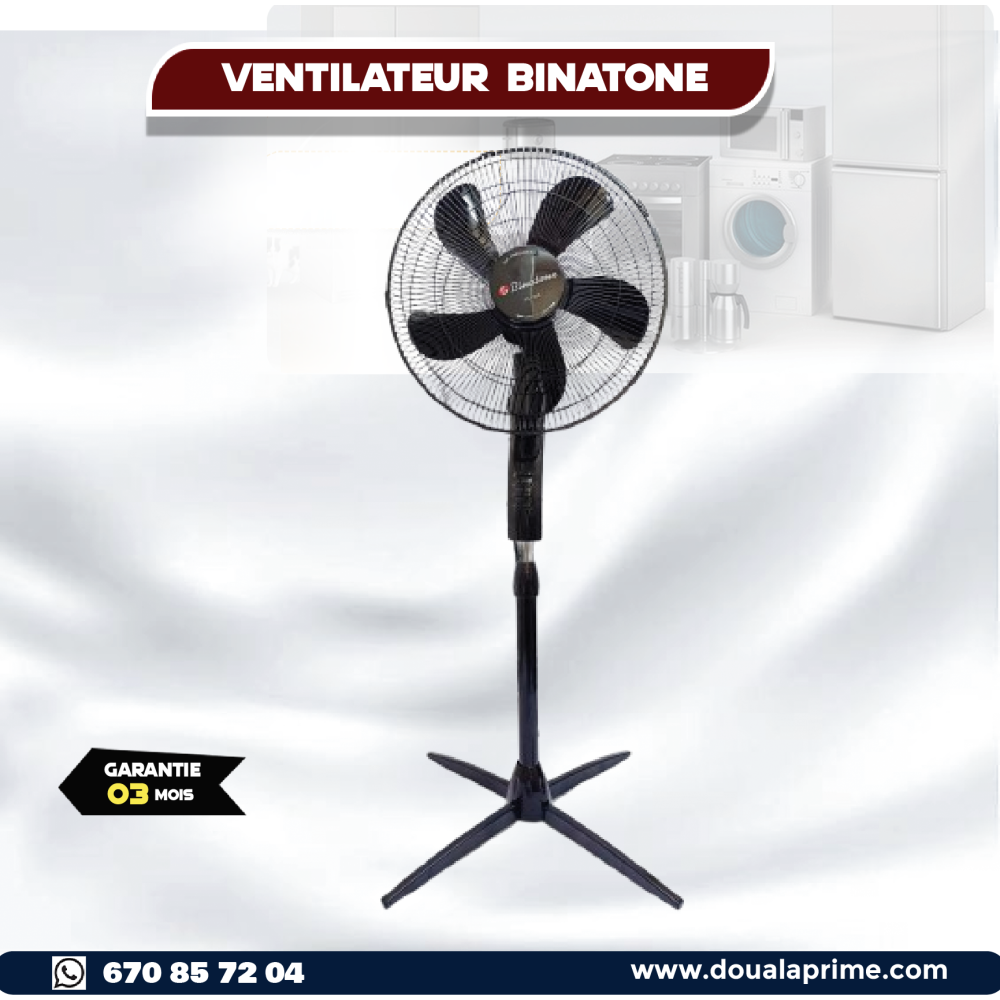 Ventilateur Puissant – Fraîcheur et Confort au Quotidien