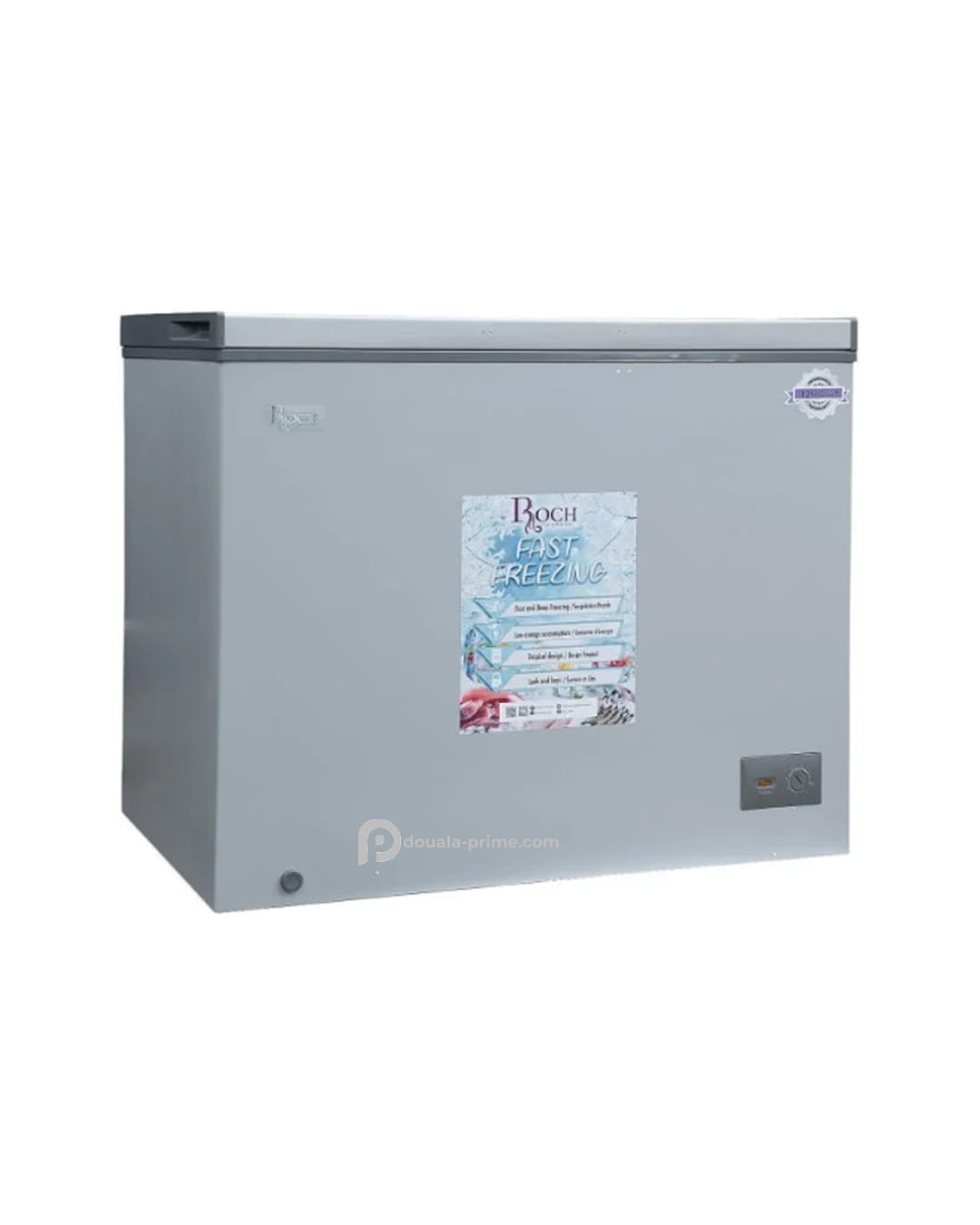 CONGELATEUR COFFRE ROCH RCF-300-B 251L