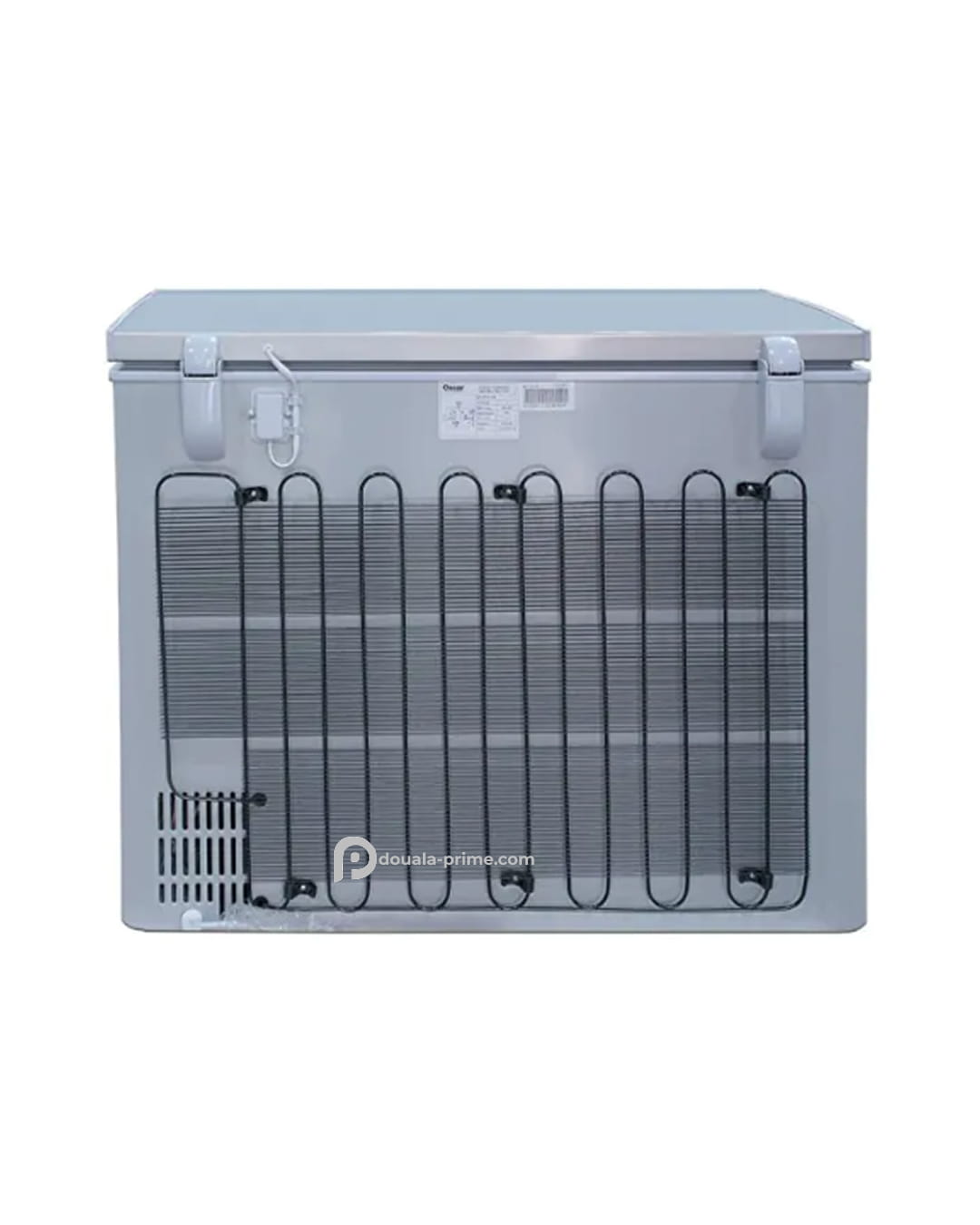 CONGELATEUR COFFRE OSCAR OSC-300 190L
