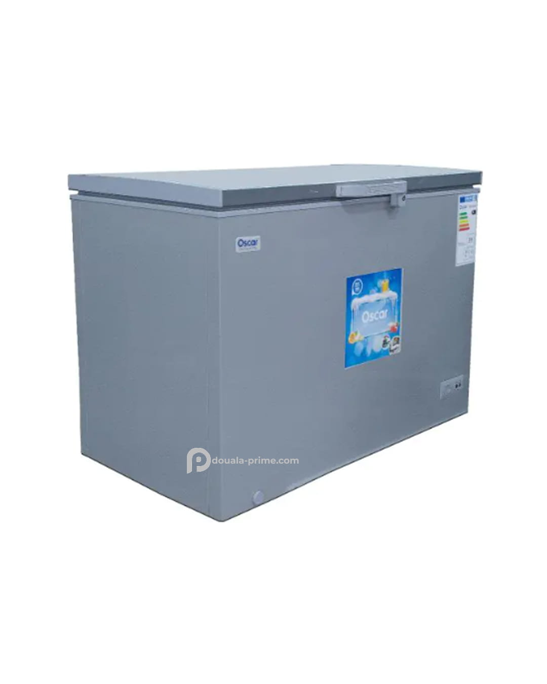 CONGELATEUR COFFRE OSCAR OSC-400 282L